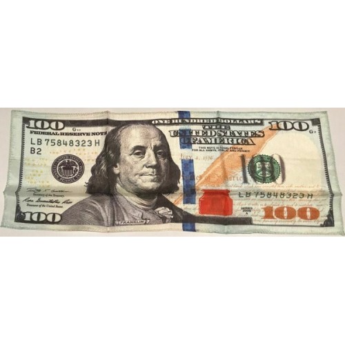 $100 Dollar Bill Silk 18″